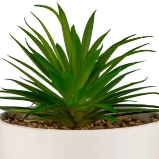B&M Scandi Shore Succulent In White Pot - Image 2