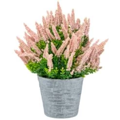 Bloom Heather In Plant Pot - Light Pink